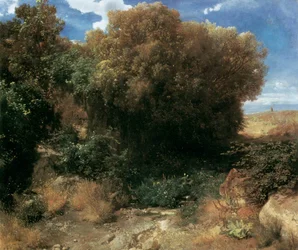 Paesaggio di campagna